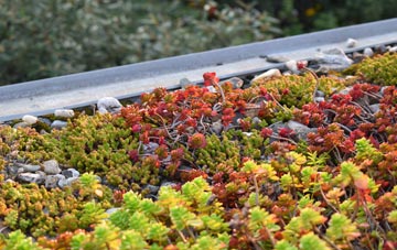 the cost of Luffenhall green roof installation