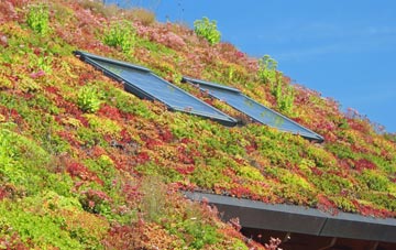 Luffenhall living roof systems